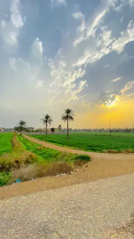 جمال ريف الزبيديه ✨🕊️/..؟📸🌥️.     #تصويري    #الزبيديه🇯🇴✌🏻 #fypシ #تصويريي_احترافي_الاجواء👌🏻🕊😴 #مجرد________ذووووووق🎶🎵💞 #شعجب_صيني_مال_حل😂😂😂 #اجواء_خيالية_تصويري 