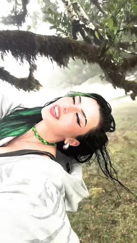 „Greenscreen“ sure 🌲🧚🏻
