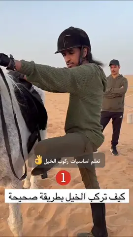 #CapCut تعلم اساسيات ركوب الخيل👌#حمدي_الفريدي#خيول #اكسبلور 