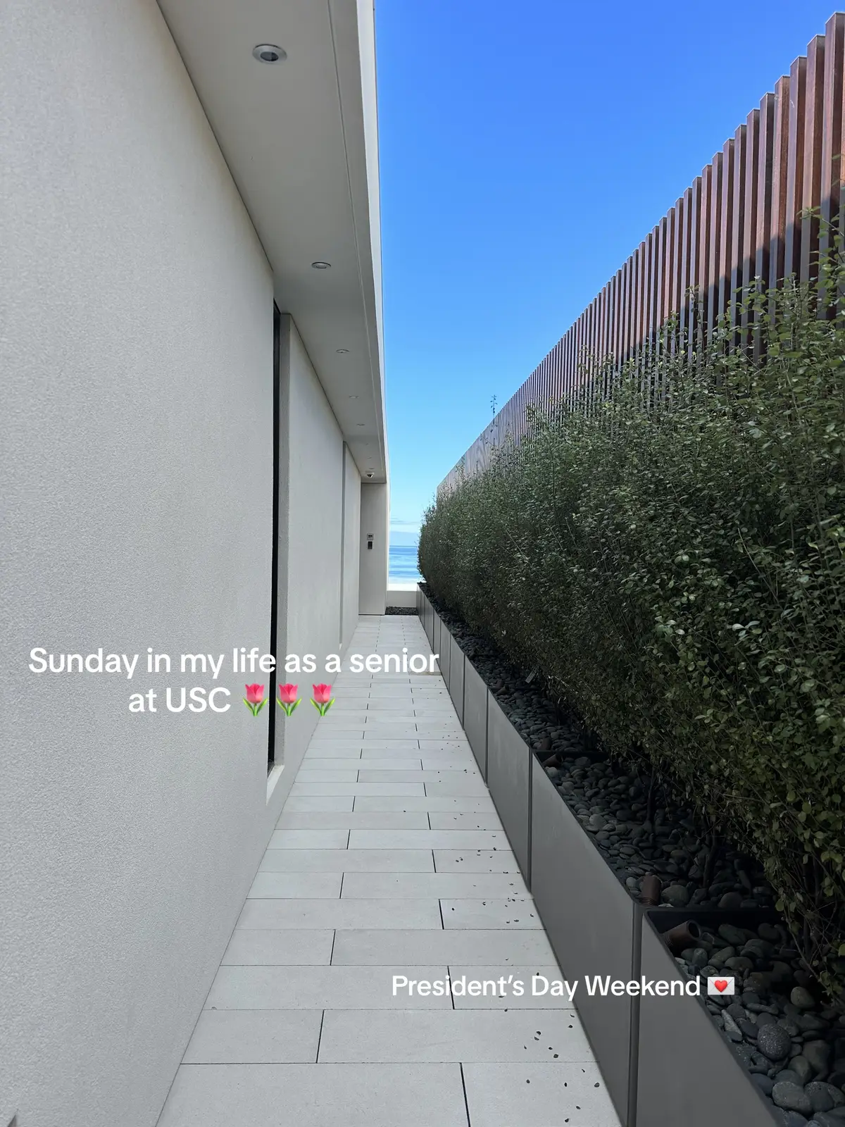 Sunday #dayinmylife 🌭💛🧳