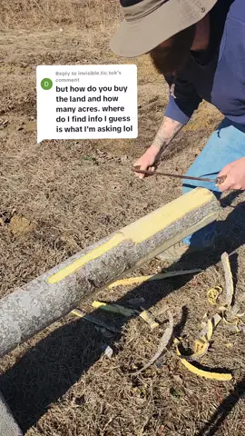 Replying to @invisible.tic.tok How we found and purchased Our Off Grid Property.. If you are interested in going this route to buy raw land of your own.. Check out @Landstruck.com as they have been amazing to work with #offgridliving #rawland #ownerfinanceland #ownerfinance #homestead #livingofftheland #simplelife 