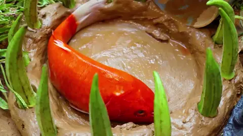 Goldfish and baby eel #funny #stopmotion #coocking #fypシ