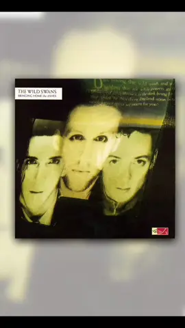 The Wild Swans - Archangels / 80s90s BestMusic #music80s90s #postpunk #indie #newwave #synthpop #foryou #parati #tiktok #Viral 