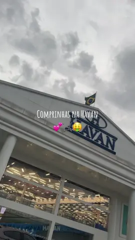 Acharam caro ou barato? 🥰                               #compras #comprasdecasa #havan #consumistascheck #saindodarotina 