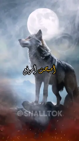 لم يعد يهمني إرضاء أحد أصبحت أرفع يدي و ألوح للجميع... 🌿 #اقتباسات #أقوال #أقوال_وحكم #حالات_واتس #كلمات #تيك_توك #للعقول_الراقية_فقط #خواطر_ملهمة #خواطر  #كلمات #اكسبلور #اكسبلورexplore #للعقول_الراقية_فقط🤚🏻💙 