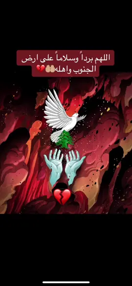 #جنوب_لبنان🇱🇧  #النبطية #الجنوب #صور #لبنان  #southlebanon #lebanon  #beirut  #الشيعة  #شيعة 