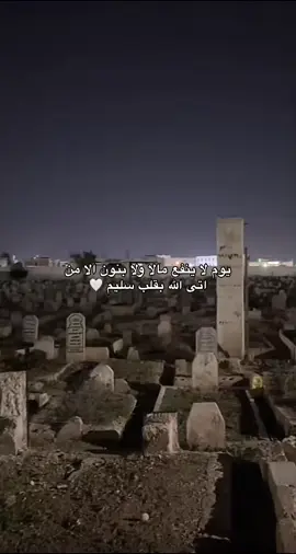 #pourtoipage #fpyツ #اكسبلورexplore #viral #vypシ #عبارات 