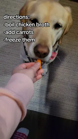 #alertdogdarby #darbydoo #dogtreats 