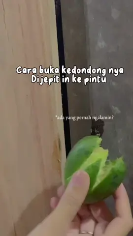 Ada satu cara lagi, kendondongnya dibanting di lantai sampai kebuka, katanya kalau di banting lebih manis daripada di jepit 😅 emang iya?
