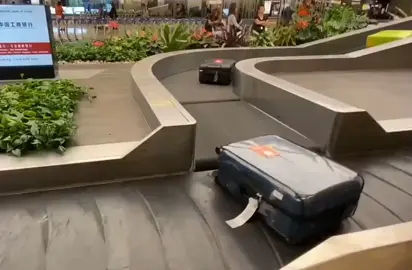 The baggage arrivals at Singapore's Changi Airport.#foryoupage❤️❤️ 