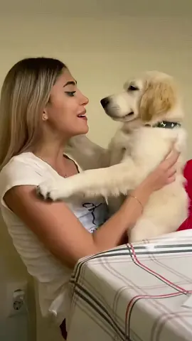 funny dogs Comp 🤣🐶 episode 138 #funny #pet #animals #funnyanimals #fyp #foryou #dog #dogsoftiktok #funnydog #doglovers #funnyvideos #🤣🤣🤣 