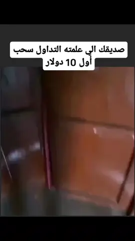😂😂😂😂😂😂😂😂 #trading #Gold #العملات_الرقمية #فوركس #birdforex1 #الشعب_الصيني_ماله_حل😂😂 