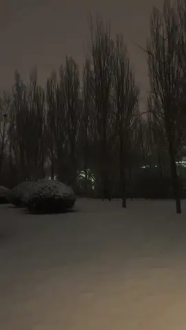 Snowy night.#darkaesthetics #nightvibe #nightvision #nightview #snowy #snowyday #snowynight #snowaesthetic #