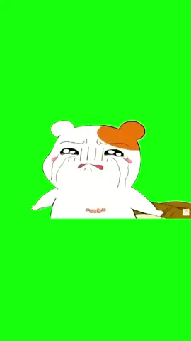 Crying Hamster | Green Screen #hamster #crying #inmyfeelings #oruchubanebichu #ebichu #anime #meme #viral #fyp 