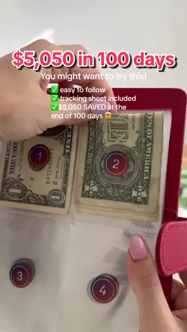 Let the savings journey begin 👏 #savingschallenge #envelopesavings #financialfreedom #moneytok #moneychallenge #savingsgoals #savingmoney #moneydiscipline #financialplanning #disciplineovermotivation #100envelopechallenge 