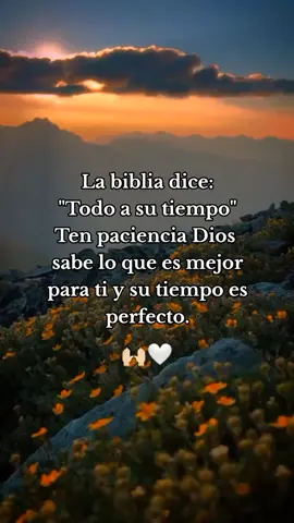🙌🏻🤍❤️...Dios siempre nos dará lo mejor.#frasesdelabiblia #bendiciones🌹❤️🙌🏻🙌🏻🙏 #Diosteama #bendecidodia🙏🙏🙏🌞♥️ #Diosesmisericordioso #videomusica 
