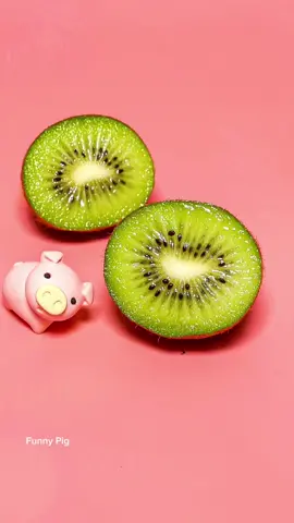 #funnypig #funny #viralvideo #trend #xuhuong #fyp 