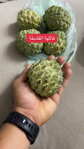 تقرير بسيط عن شجرة او فاكهة القشطة #صبيا #جيزان #اكسبلور #fyp #fypシ #foryou 