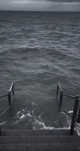 #meme #funnyvideos #memestiktok #theanh28 #funny #fypシ #foryou 