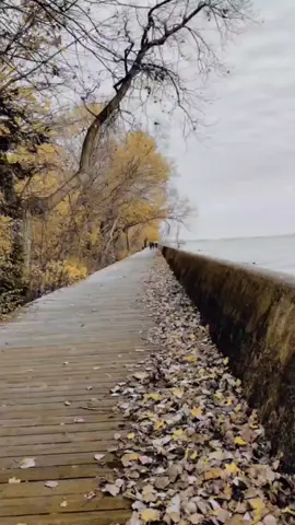 @شعر وشعراء  صدك مو غريب على الجروح يدوس #fypシ #capcut #شعر #شعر_شعبي #ذواقين_الشعر #اثير_التميمي #ايهاب_المالكي #سمير_صبيح #ايهاب_المالكي #شعروقصاید_خواطر_غزل_عتاب #شعراء_وذواقين_الشعر_الشعبي_العراقي #شعر_شعبي_عراقي #اشعار_حزينه #العراق #تيك_توك #اكسبلور #متابعه #explor #furyoupage #iraq #viral 