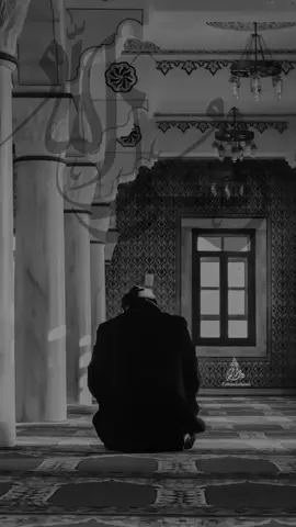 #ابوبهجت_ابوشعر  #explore #fyp #viral 