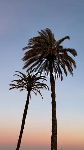 Un semestre d’échange qui commence très bien :) #barcelone #barcelona #etudiant #erasmus #espagne #aesthetic #aestheticvideos 