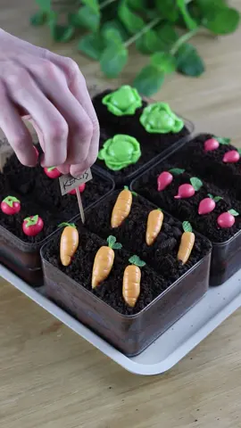 Veggie Garden Dirt Cakes 🥕 #cake #cakedecorating #oreo #baking 