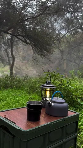 قعدة هادئة بين احضان الطبيعه 🍃 #اكسبلور #اكسبلوررررر #عزلة #fyp #foryoupage #ضباب #جلسة_تصوير #طمانينه #النماص #foryoupageofficiall❤️❤️tiktok #تنومة #يوم_التأسيس 