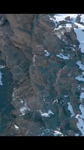 Nature is metal #nature #Outdoors #animals #viral #fyp #foryou #mountain #food #wildlife #wild 