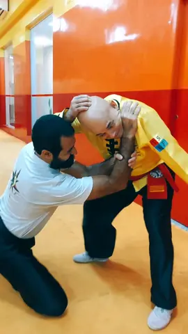 #tskf #kungfu #kungfuadistancia #kungfuonline #wushu #louvaadeus #artemarcial #artesmarciais #shaolin #chikung #camisadeferro #humor 