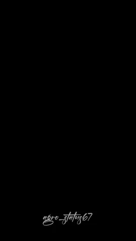 🔥🎶#sertanejo #brunoebarretto #terere #videoviral #status 