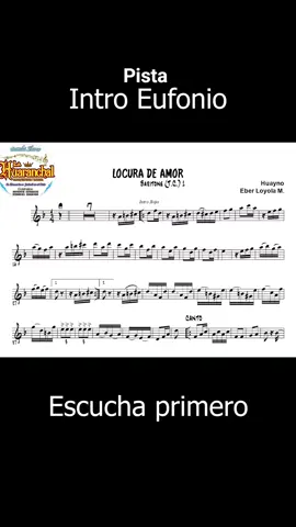 Toca con la Huaranchal #eufonio #lahuaranchal #fypシ #brass #shett 