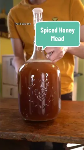 Spiced Honey Mead #mead #wine #homebrewing #honey #beekeeper #LearnOnTikTok 