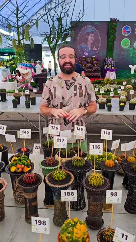 EU NÃO ME RESPONSABILIZO pelas quedas de pressão, desmaios e calafrios que esse vídeo no YouTube  pode causar! SAIU O VÍDEO NO YOUTUBE sobre o concurso de CACTOS E OUTRAS SUCULENTAS da TAILÂNDIA! . As plantas mais perfeitas nós gravamos na Tailândia, em um concurso só de suculentas, na Olimpíada das Plantas. Esse é o segundo vídeo dos 4 que gravamos nessa Olimpíada. Em breve, vamos publicar o de orquídeas e o de bromelias. . Portanto, prepare seu coração e seu chá para se acalmar porque no vídeo eu mostro plantas inigualáveis, inimagináveis, incomparáveis! Aproveitem porque o vídeo está espetacular!!!! . Corre agora pro YouTube pra enlouquecer comigo e não se esqueça de compartilhar com todo mundo! #plantas #suculentas #plants #succulents #cactusysuculentas #cacti #cactus   #plantsmakepeoplehappy #jardim #garden