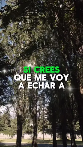 si te vas , te vas #vallenato #paraty #paradedicar #romantico #diomedesdionisiodiaz  #CapCut 