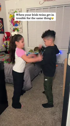 This is literally them everyday😂😅 #irishtwins #siblingsbelike #trends #comedy #fyp 