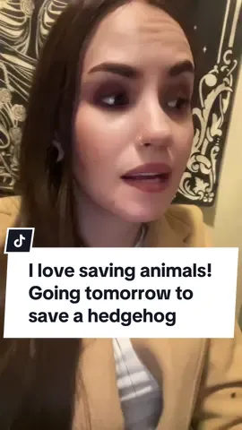 Helping animals is my dream i get to live #animallover 