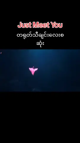 💞Everton💕 #တရုတ်သီချင်းလေးနဲ့လာပြီ😁 #justmetyou #foryoupage❤️❤️ #tiktokb4youdo🥰🥰🥰💙 