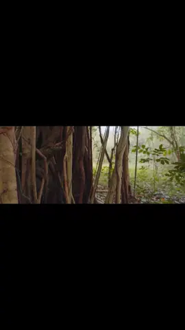 คุณตูบสายดาร์ก ปิดเมืองกัด Dark Dog Lock Down #คุณตูบสายดาร์ก #คุณตูบสายดาร์กปิดเมืองกัด #หนังดีบอกต่อ #หนังดีบอกต่อ #หนังสนุก #หนังไทย #หนังน่าดู #หนังตลก