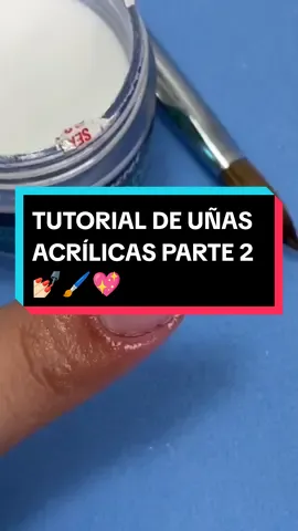 COMO realizar uñas acrílicas Paso a Paso Principiantes / PARTE 2💅🏻🖌️💞 #uñas #nails #manicurista #emprendedoras #viral #EEUU #nailart #manicura #fyp #orlando #florida #texas #miami #Washington #mexico #canadá #denver #boston #Massachusetts #california #losangeles #Ohio #Arizona #puertorico #houston #Tennessee #warsaw #indiana 