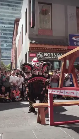 🇦🇺 2024 墨爾本中華青年會 新春表演 女獅人 😯😯還好會來得及剎車 沒有旁邊那頭就完了😂😂😂 哈哈 可以 🇦🇺 2024 Melbourne Chinese Youth Association New Year Performance Lioness 😯😯 Fortunately, I will be able to brake in time. If there is no side, it will be over 😂😂😂 Haha, okay #cny2024 #马来西亚 #malaysia #malaysiatiktok #liondance #mualan #tariansinga #barongsai #醒獅 #醒狮 #舞狮 #liondancer #liondanceperformance #liondancecompetition #liondancelife #高桩 #高桩舞狮 #高桩舞狮🦁 #高桩舞狮表演 #舞狮生活 #舞狮比赛 #舞狮表演 #舞狮运动 #liondancemalaysia #liondance2024 #múalan #múalan2024 #lansurong #lansurong2024 #liondancing    #新年快乐 #恭喜发财#传承 #传承文化 #发扬光大 #lunarnewyear #happychinesenewyear #damn #crazy #liondancedrum #liondancedruming #龙年  #龙年发大财 #龙年大吉 #respect #中国 #liondancechina #china #chinatiktok # #funny #funnyvideos #funnytiktok #funnyy #funnymoment #haha #damn #crazy  #搞笑 #墨尔本 #melbourne #melbourneaustralia #australia #austria #australiatiktok #australia🇦🇺 
