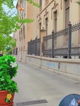 #bushman #bushmanprank #bushmanpranks #funny #prank #scary #funnyvideos #scareprank #hashtag 