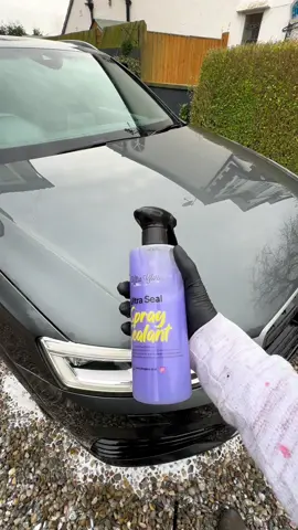 BOOM! Instant hydrophobic protection! 🔥😍 #detailing #protection #satisfying #cars #clean #water #carcare #fyp #abcxyz 