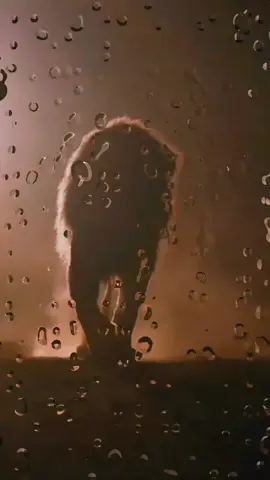 ياالله بجيشن من قرى الشام ينقاد #اناشيد_بدون_موسيقى #CapCut #تصميم_فيديوهات🎶🎤🎬 تصميم فيديوهات #قوالب_capcat_ترندات #انشودة_من_أجمل_الأناشيد #قوالب_كاب_كات_جاهزه_للتصميم 