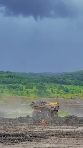 Tambang memang se indah itu !!#pintermilihtemen #pertambangan #pamapersadanusantara #E1 