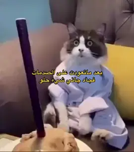 #اكسبلور_تيك_توك 