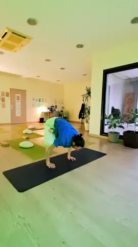 Morning Flow at the studio. . #yoga  #dijon  #dijonyoga  #studioyoga  #stretching  #leklube  #coursdeyoga  #yogadijon  #yogastudio  #Love  #hathayoga  #fiftycrew  #ashtanga  #asanas  #ashtangayoga  #yogaashtanga  #yogi  #yogini  #yogalife  #yogalifestyle  #yogainspiration  #yogaeveryday  #yogateacher  #hanstand  #edsheeran  #yogasanas  #flow  #yogaflow  #flowyoga  #vinyasayoga 