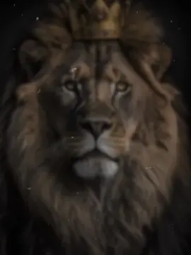 لما دعا داعي أبي الأشبال شعرأحمد شوقي#حكم_وأمثال_وأقوال #أحمد_شوقي #شعراء_وذواقين_الشعر_الشعبي #الشعب_الصيني_ماله_حل😂😂 #نونية_القحطاني_بصوت_القارئ_فارس_عباد #اكسبلورexplore #CapCut #لبسنا_يوم_بدينا #شعر 