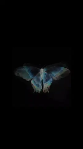 she beautiful looks like butterfly 🦋  #butterfly#beauty #pinterest #aesthetic #foryou #viral #🦋 @Ariana 