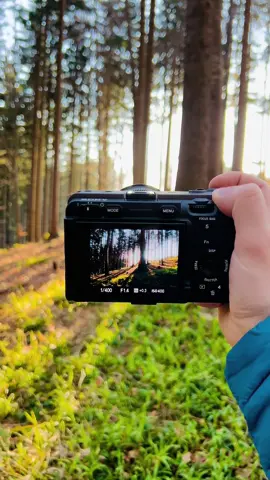I‘m shooting a landscape photo at F1.4 with a cinema camera. How do you feel? #sonyfx30 #sonyshooter #sonyalpha 